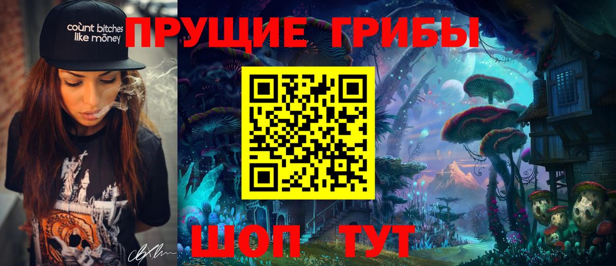 Советск  Псилоцибиновые грибы мухоморы  закладки  Вход с VPN 