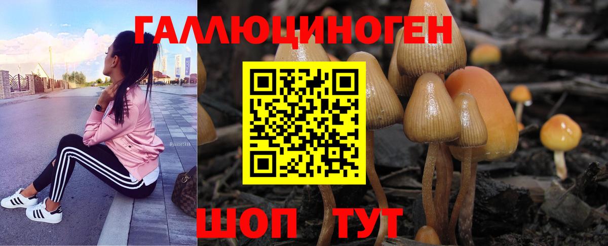 Псилоцибиновые грибы мухоморы Советск
